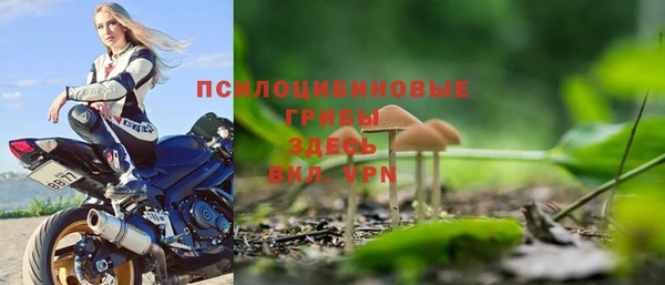 твердый Арсеньев