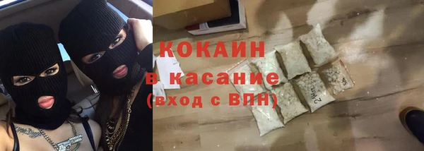 твердый Арсеньев
