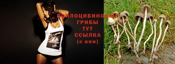 Альфа ПВП Армянск