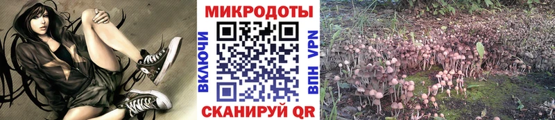Псилоцибиновые грибы прущие грибы Аша